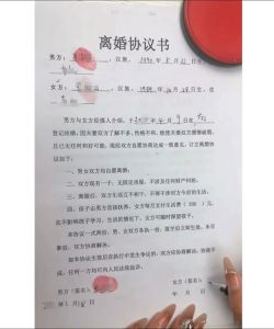 双双自愿离婚不想等30天，离婚冷静期30天太长？法院起诉是条路