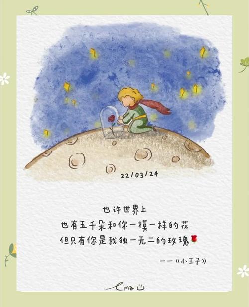 《海角真实小王子50》：一段关于勇气与梦想的动人故事