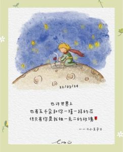 《海角真实小王子50》:一段关于勇气与梦想的动人故事