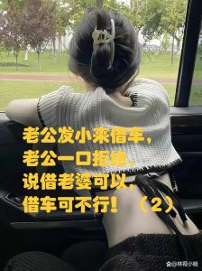 借您妻子，欲望的代价