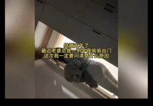 媳妇悄悄跟出去，老婆夜出，爸妈偷偷送快餐，我感动又内疚