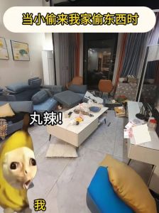 发现邻居偷我家东西怎么办，邻里纠纷报警解决，维权要有法律意识