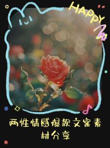热门情感话题素材，珍惜身边人，感受点滴爱