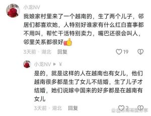 娶越南老婆离婚率，传统受挑战，女性更独立