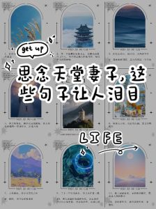 对逝去老婆的思念，珍惜眼前人，别等失去才后悔