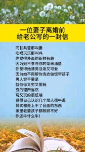 离婚后写给前妻的一封信，甜蜜回忆与遗憾