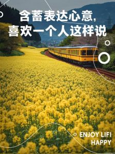 含蓄的说喜欢一个人，眼神微笑传心意，温柔升温不用言