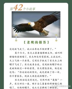 长白山猎人打猎故事，防火轻行，保护山林